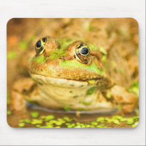 Marsh Frog mousepads