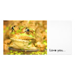 Marsh Frog, photo cards