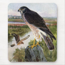 Marsh Hawk Mouse Pads