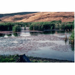 Marsh in California photo sculptures