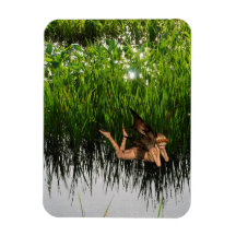 Marsh Pixie Rectangular Magnets