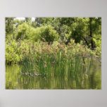 Marsh Print