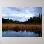 Marshy Wetland Area at the Lake posters