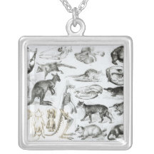 Marsupialia, Monetremata, Edentata Jewelry