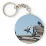 Marthas Vineyard 48 keychains