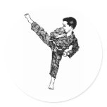 Martial Arts- Boy Kicking stickers