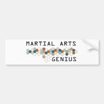 Martial Arts Genius Bumper Sticker