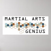 Martial Arts Genius Poster