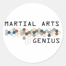 Martial Arts Genius Round Stickers