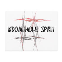 Martial Arts Indomitable Spirit