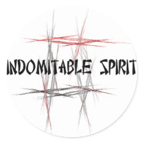 Martial Arts Indomitable Spirit