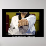 Martial Arts Middle Punch Poster posters