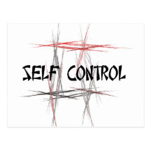 Martial Arts Self Control Post Card