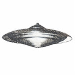 Martian Flying Saucer MCC-4890 Lightspeedster HRL photo sculptures
