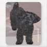 Martini the Yorkie-Poo Mousepads
