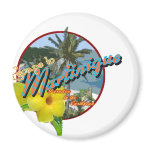 martinique2 magnets