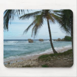 Martinique 4 mouse pads
