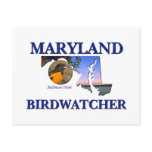 Maryland Birdwatcher postcards