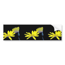 Maryland Golden Aster Bumper Sticker