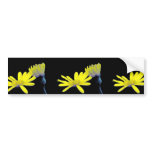 Maryland Golden Aster bumper stickers
