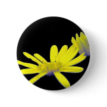 Maryland Golden Aster Buttons