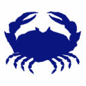 Maryland Steamed Crab photo sculptures