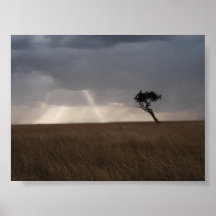 Masai Mara Print