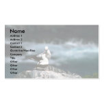 Masked Booby, Courtship Business Card