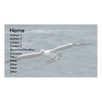 Masked Booby Flying Over Water Business Card Templates