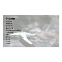 Masked Booby In Flight Business Card