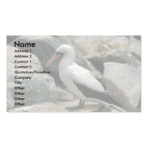Masked Booby On Rock Business Card Template