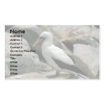 Masked Booby On Rock Business Card Template