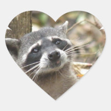 Masked Racoon Sticker