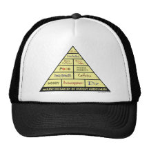 Maslow's Hierarcy of Student Nurse Needs Mesh Hat