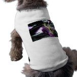 Masque and Black Ribbon pet clothing