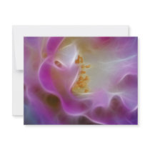 Masquerade pink rose and meaning invitation