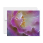 Masquerade pink rose and meaning invitations