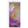 Masquerade pink rose and meaning rack card