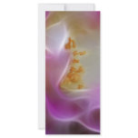 Masquerade pink rose and meaning rack cards