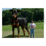 Massive Dog cards