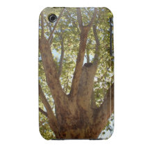 Massive Tree with Blue Sky iPhone 3 Case
