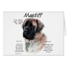 Mastiff (apricot/fluffy) History Design Cards