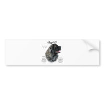 Mastiff (brindle fluff) History Design