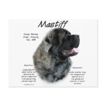 Mastiff (brindle fluff) History Design