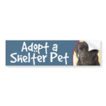 Mastiff/Chocolate Lab Bumper Sticker bumper stickers