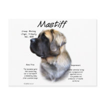 Mastiff (fawn fluffy) History Design