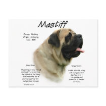 Mastiff (fawn) History Design