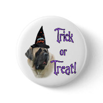 Mastiff (fawn) Trick