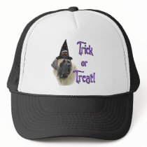 Mastiff (fawn) Trick