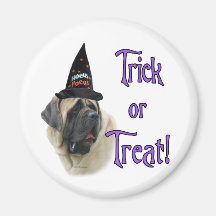 Mastiff (fawn) Trick Magnets